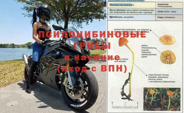 винт Дмитровск