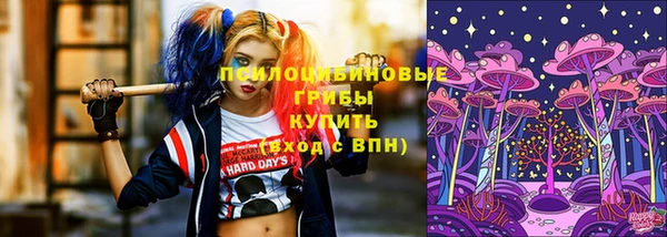 mix Пересвет