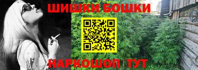 бошки Будённовск