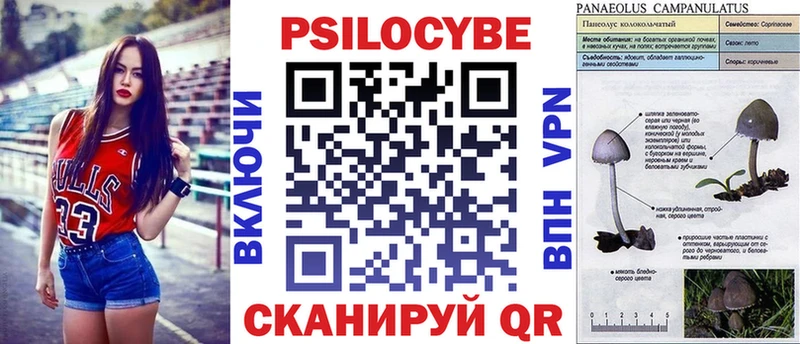где можно купить   Ейск  Галлюциногенные грибы Magic Shrooms 