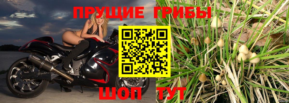 Ейск  Галлюциногенные грибы Cubensis  Вход с VPN 